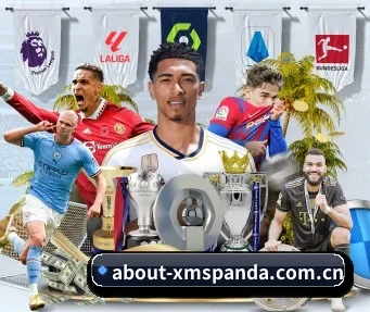 about-xmspanda.com.cn APP